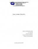 Ecología Del Desarrollo Humano