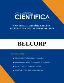 Direccion de negocios BELCORP