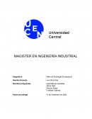 Estrategia y Entorno Competitivo (PAS)