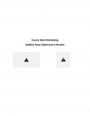 Análisis Testa Cybertruck y Porsche