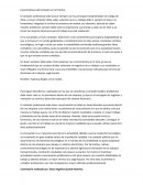 Características del Contador en la Práctica