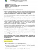 Caso empresa de transportes LIBEPERSA S.A
