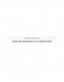 ENSAYO SOBRE LOS DERECHOS HUMANOS Y SU CLASIFICACIÓN