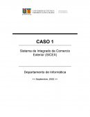 Sistema de Integrado de Comercio Exterior (SICEX)