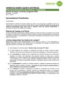 PRÁCTICA PEDAGÓGICA EN ESCUELA Y COMUNIDAD