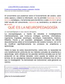 QUÉ ES LA NEUROPEDAGOGÍA