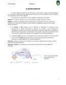EL SISTEMA DIGESTIVO