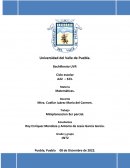 Planeacion semestral matemáticas