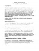 INFORME PRÁCTICA INDUMIL