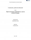 Tipo de estructura organizativas y nuevos métodos de pagos