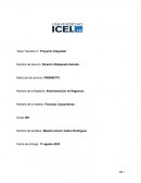 Proyecto integrador.Finanzas Corporativas