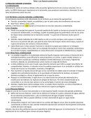 Bloque 2: Economía internacional española