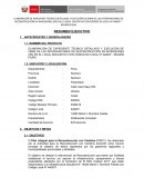ELABORACIÓN DE EXPEDIENTE TÉCNICO DETALLADO Y EJECUCIÓN DE OBRA DE LAS INTERVENCIONES DE RECONSTRUCCIÓN EN INVERSIONES (IRI)