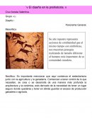 El diseño en la prehistoria