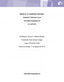 La nutrición. Nutrición autótrofa y heterótrofa