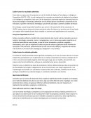 Por qué es importante la VT e IC