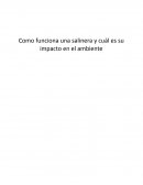 Como funciona una salinera y cuál es su impacto en el ambiente