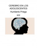Cerebro en los adolescentes