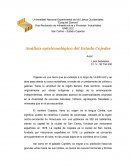 Análisis Epistemológico del Estado Cojedes