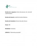 Teoría del proceso civil, mercantil y administrativo