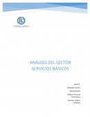 ANÁLISIS DEL SECTOR SERVICIOS BÁSICOS