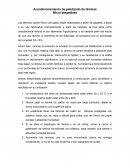 Acondicionamiento de paletizado de láminas micro-plegadizas