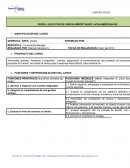 Ejemplo de Descripcion de Cargo Ejecutivo de Ventas