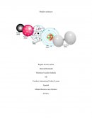 Los filósofos griegos discutieron la naturaleza de la materia