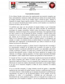 LABORATORIO DE CIENCIA DE MATERIALES. Transición energética