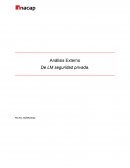 Análisis Externo De LM seguridad privada