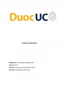 Informe comunicacion organizacional