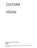 APUNTES CULTURA VISUAL