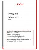 Proyecto Integrador [Mercadotecnia]