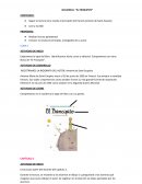 SECUENCIA: “EL PRINCIPITO”