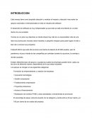 Apoyos nacionales e internacionales en la industra del software