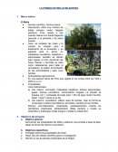 Proyecto ciencias LA POMADA DE MOLLE MILAGROSA