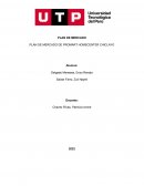 PLAN DE MERCADO DE PROMART HOMECENTER CHICLAYO