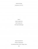 Informe de biología Laboratorios I, II, III Y IV