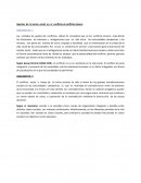 Aportes de la teoria social en el conflicto al conflicto minero