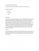 Empresas transnacionales