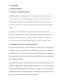 QUE ES UNA ORGANIZACIÓN