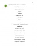 Principios Universales y Precauciones Universales