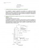 ¿Qué factores determinan la separación por destilación?