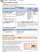 SESION DE APRENDIZAJE ¡QUE RICOS PLATOS!