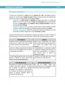 Desarrollo Psicofísico en edad escolar