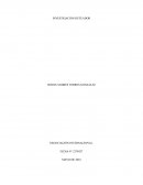 Investigador ruteador