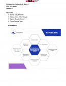 ESQUEMA DE PRODUCCION ARTICULO DE OPINION