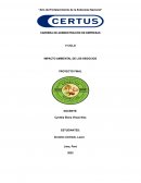 IMPACTO AMBIENTAL DE LOS NEGOCIOS