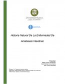 Historia Natural De La Enfermedad De Amebiasis Intestinal
