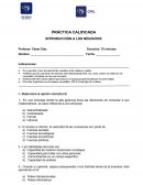 INTRODUCCIÓN A LOS NEGOCIOS